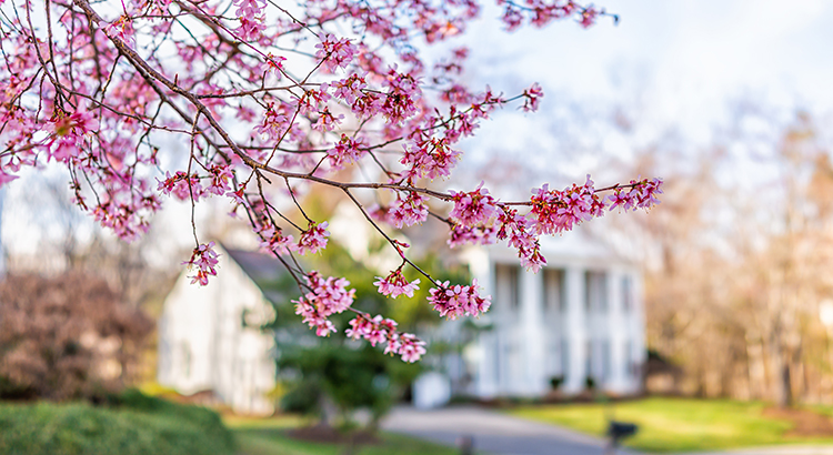 This Spring Presents Sellers with a Golden Opportunity | Simplifying The Market